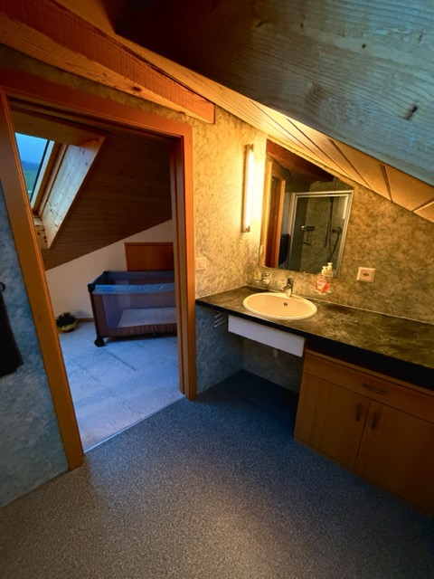 Badezimmer / Bathroom